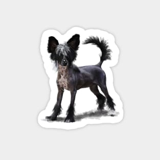 Chinese Crested Dog Sticker